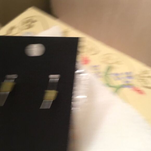 Silvertone Fish Hook Wires Slice Earrings - Picture 6 of 6